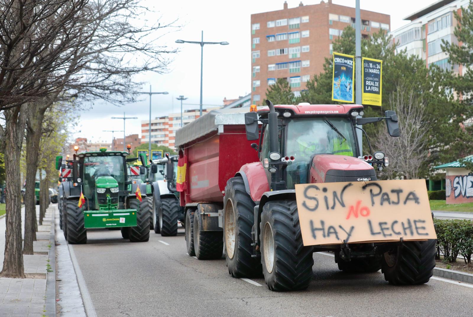 Multitudinaria tractorada de protesta en Valladolid