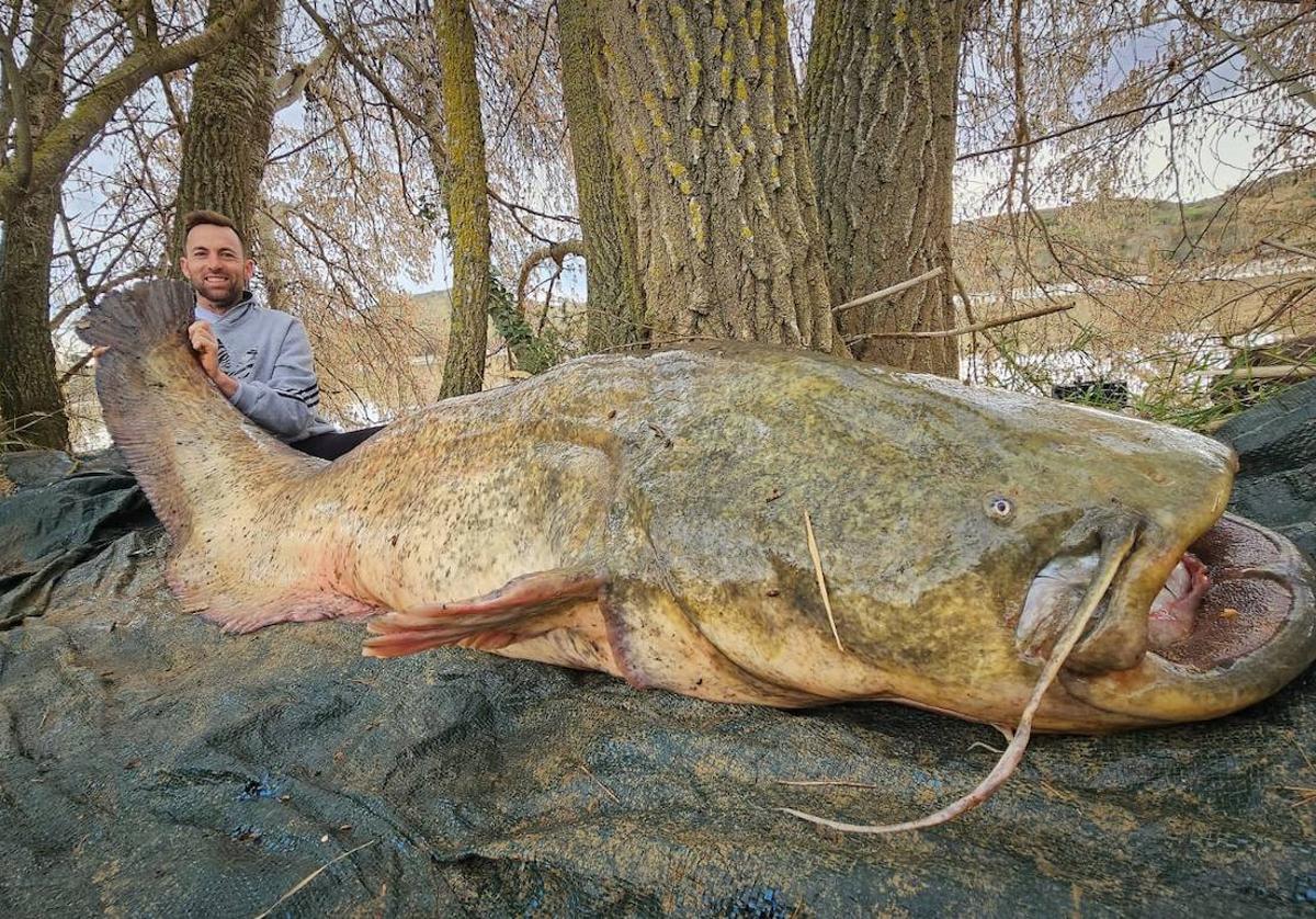 Luis Miguel González posa con el siluro de 85 kilos, que capturó en el Ebro y después devolvió al agua.