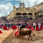 Celebración de una capea durante el Carnaval del Toro de Ciudad Rodrigo.