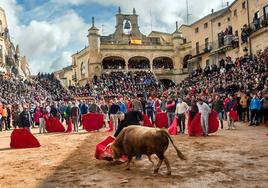 Celebración de una capea durante el Carnaval del Toro de Ciudad Rodrigo.