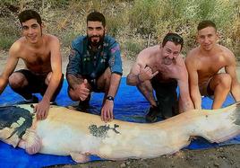 Enrique Sanz Merlo (izquierda) junto a su hermano y sus amigos tras capturar al siluro albino.