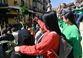 Procesión de La Borriquilla en Valladolid