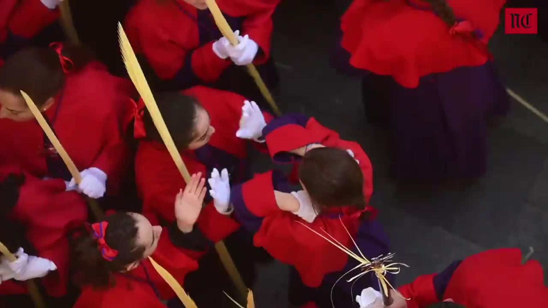 Procesión del Domingo de Ramos en Valladolid