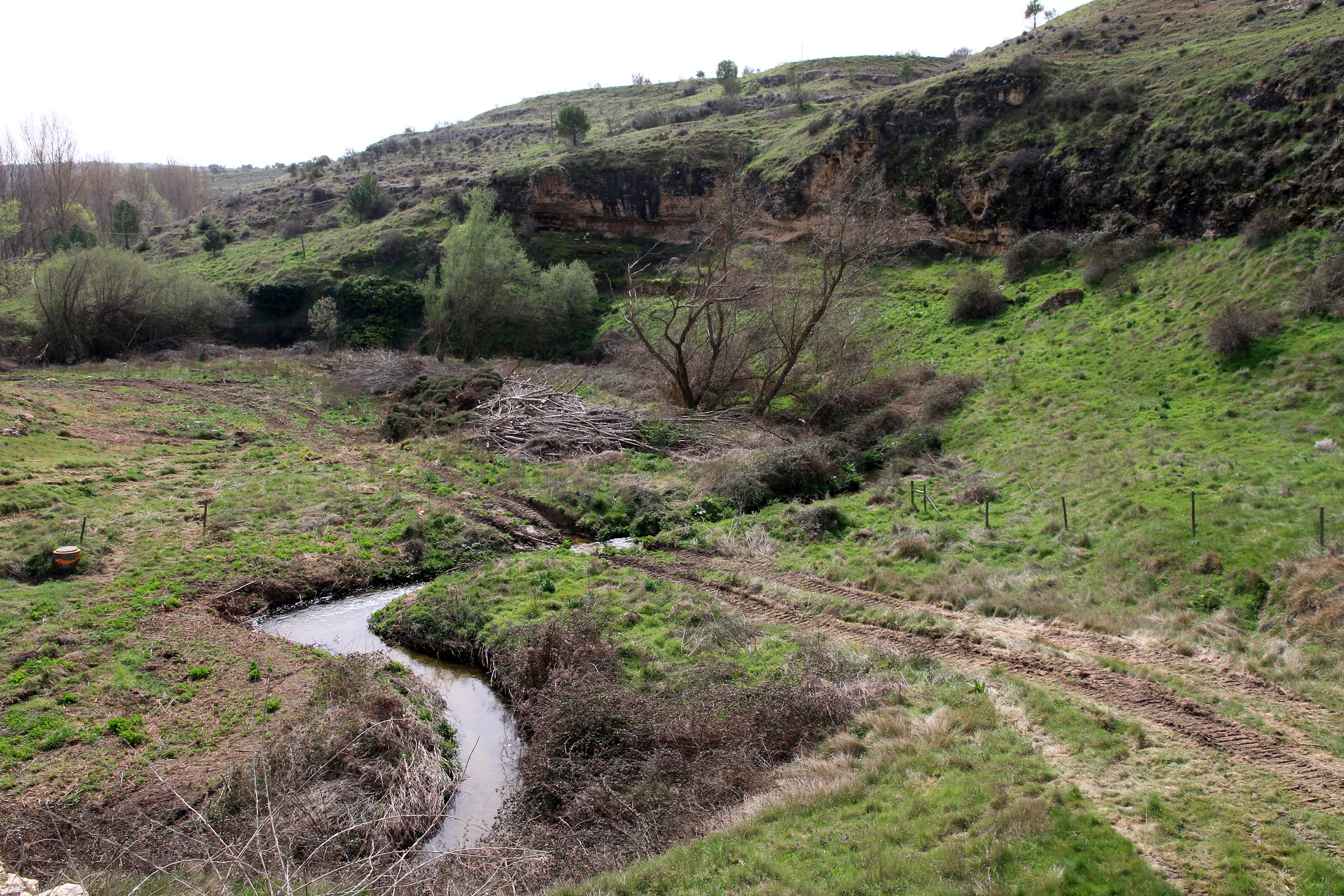 Así está el entorno del arroyo Tejadilla de Segovia