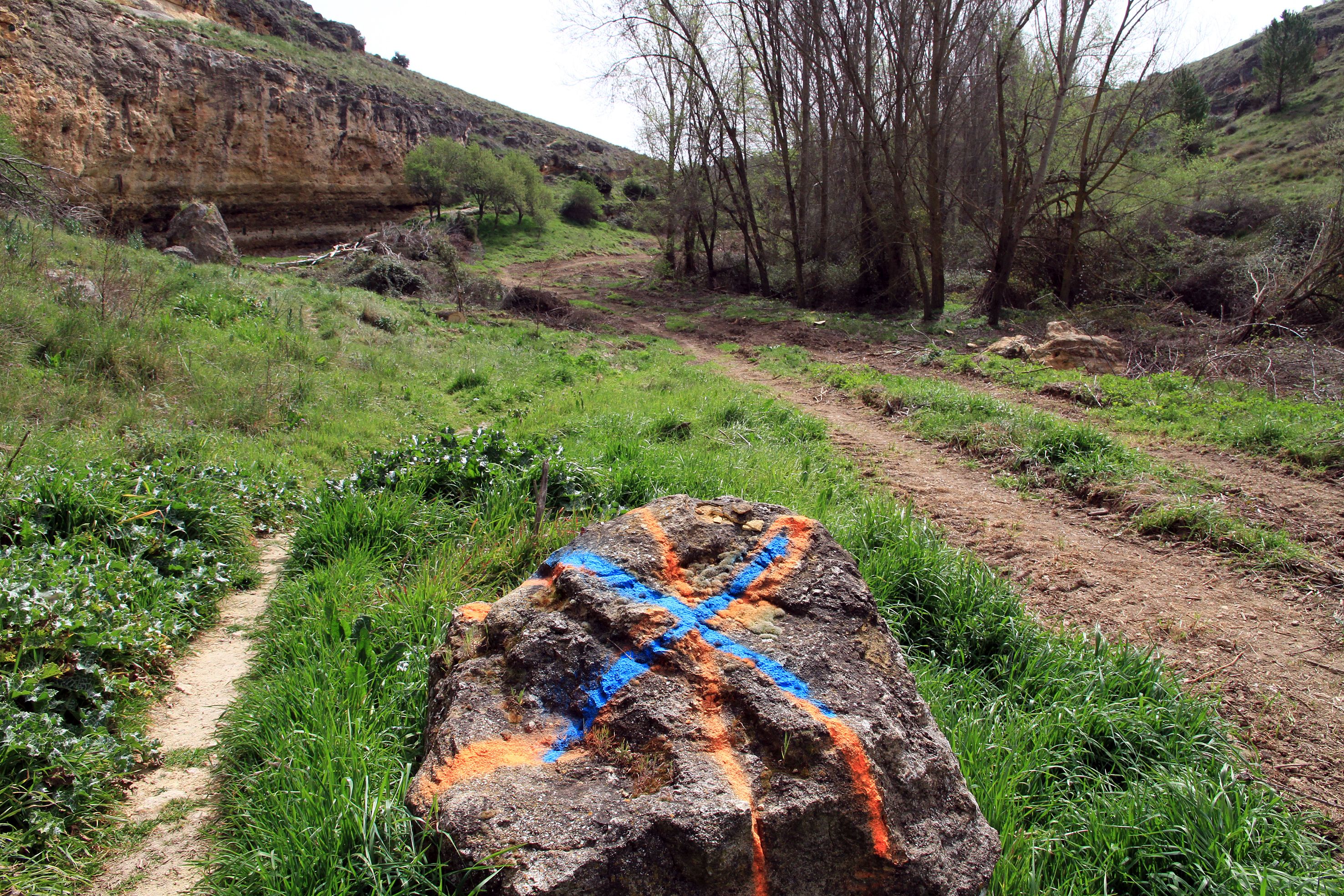 Así está el entorno del arroyo Tejadilla de Segovia
