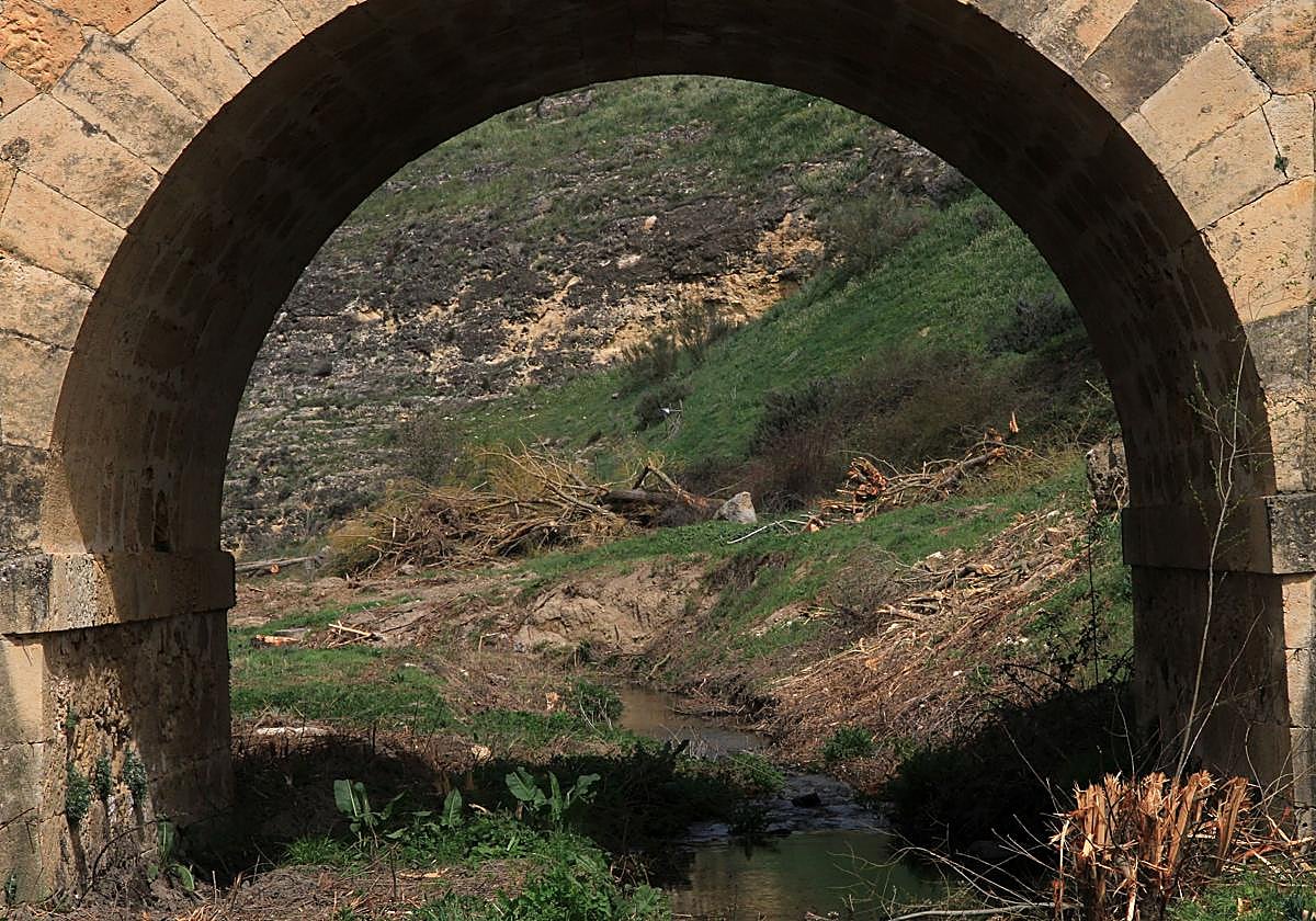Cauce del arroyo Tejadilla, con varios árboles talados al fondo.