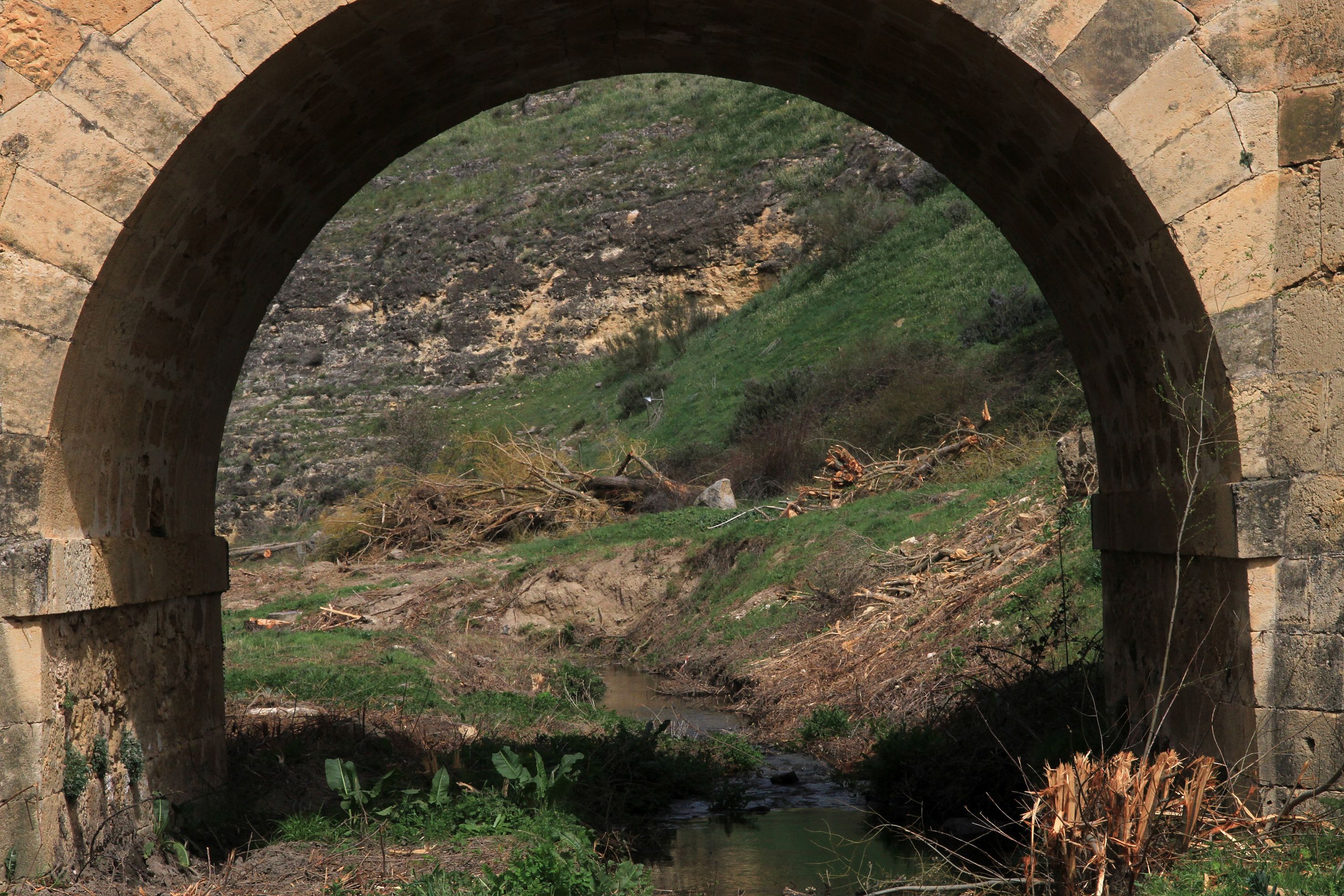 Así está el entorno del arroyo Tejadilla de Segovia