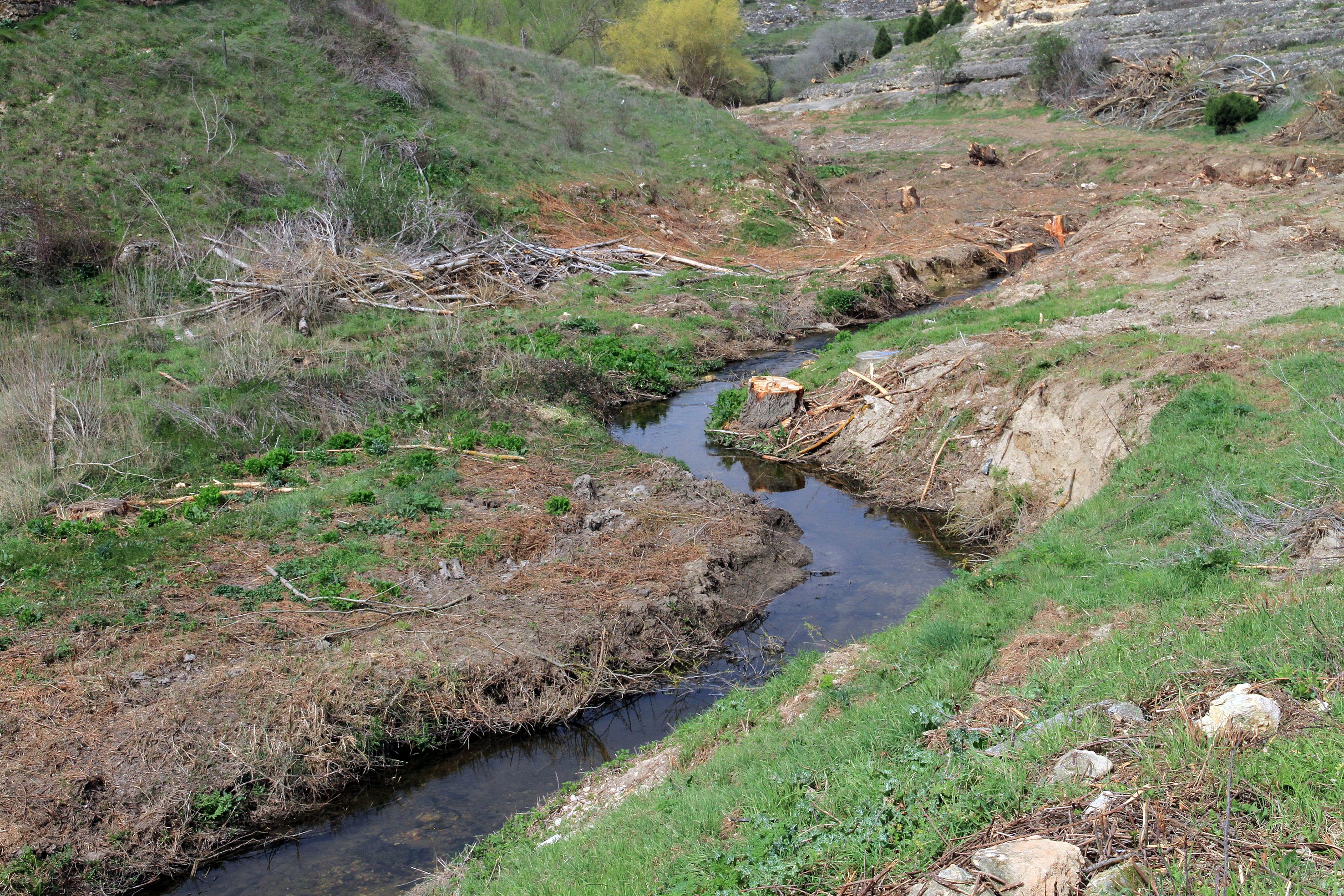 Así está el entorno del arroyo Tejadilla de Segovia