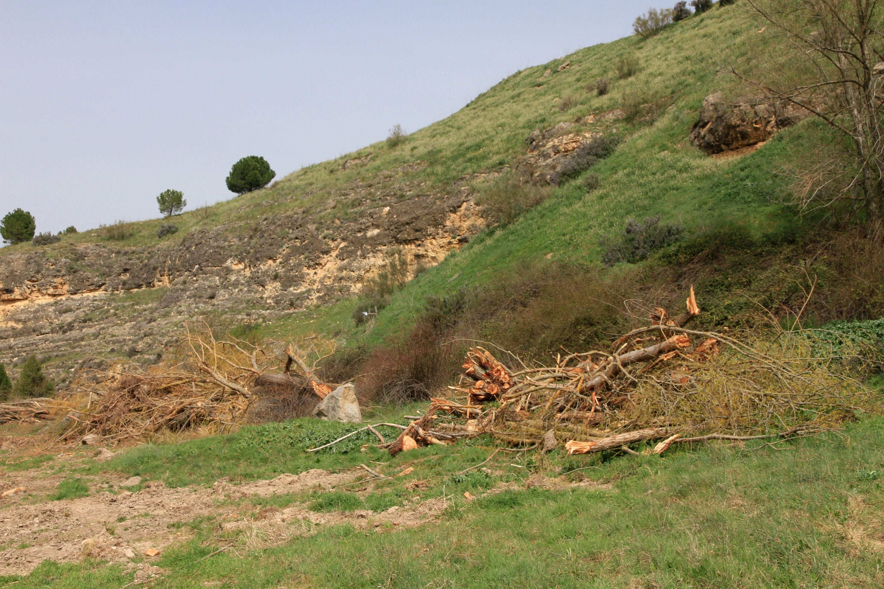 Así está el entorno del arroyo Tejadilla de Segovia