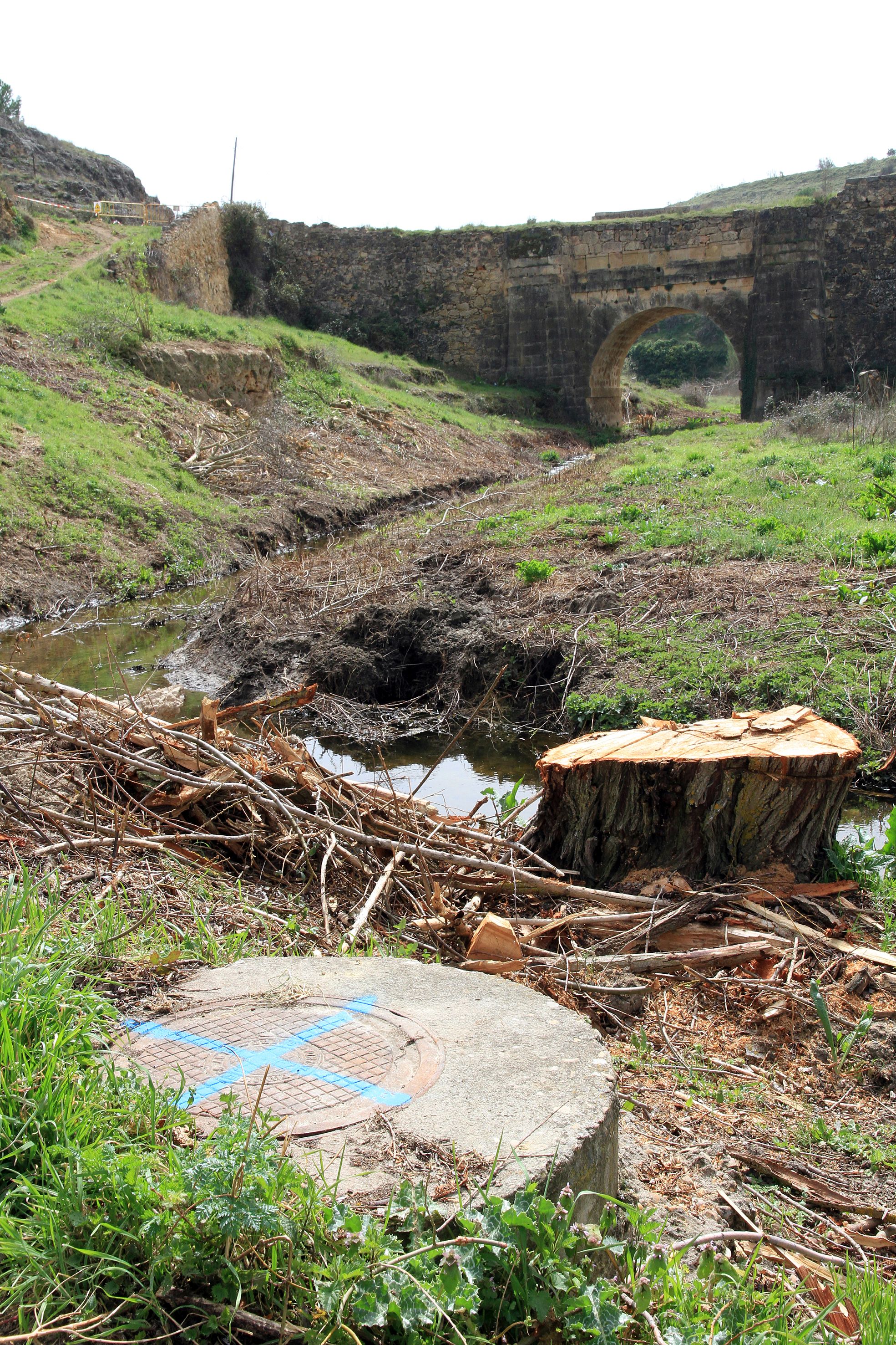 Así está el entorno del arroyo Tejadilla de Segovia