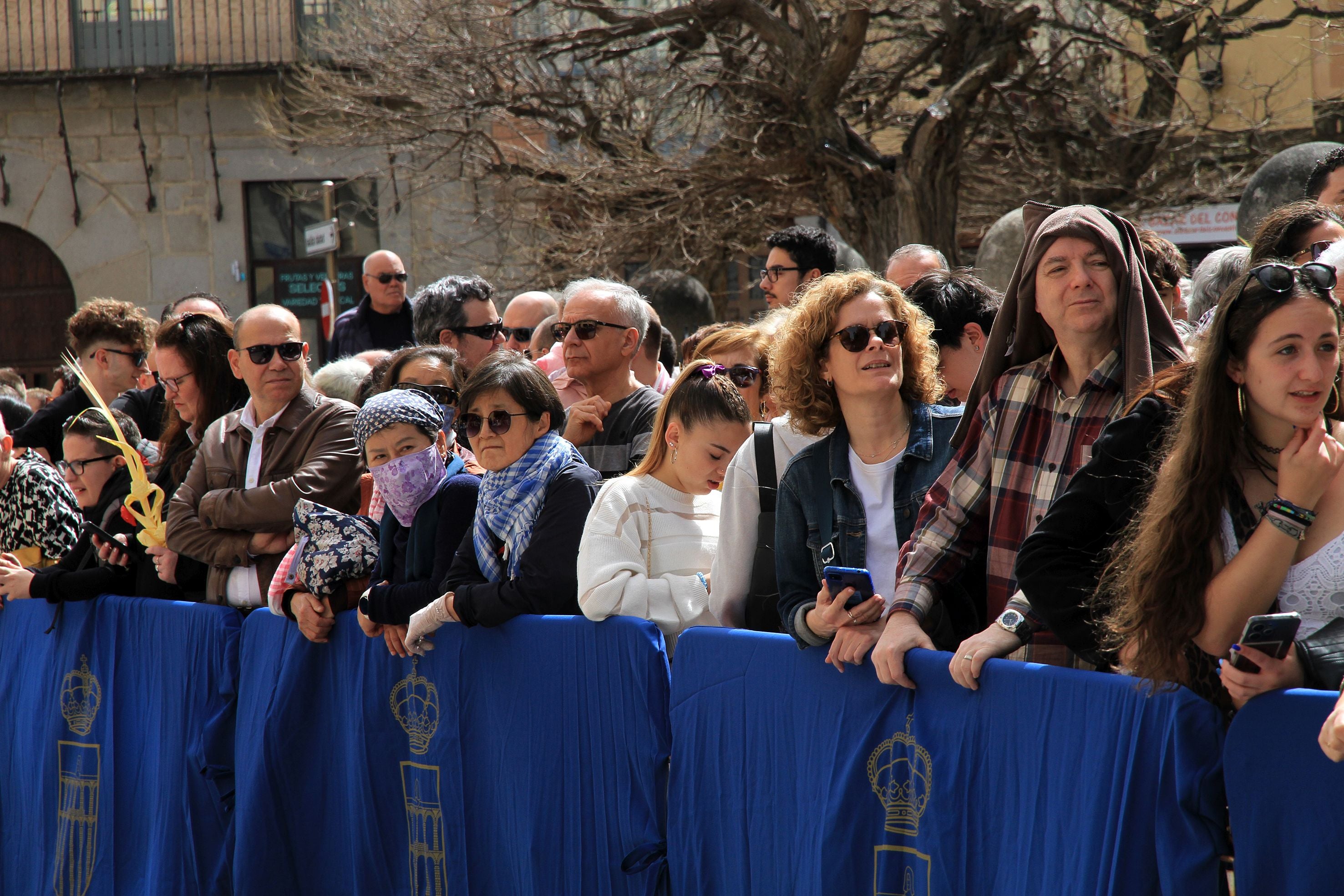 El Domingo de Ramos de Segovia, en imágenes