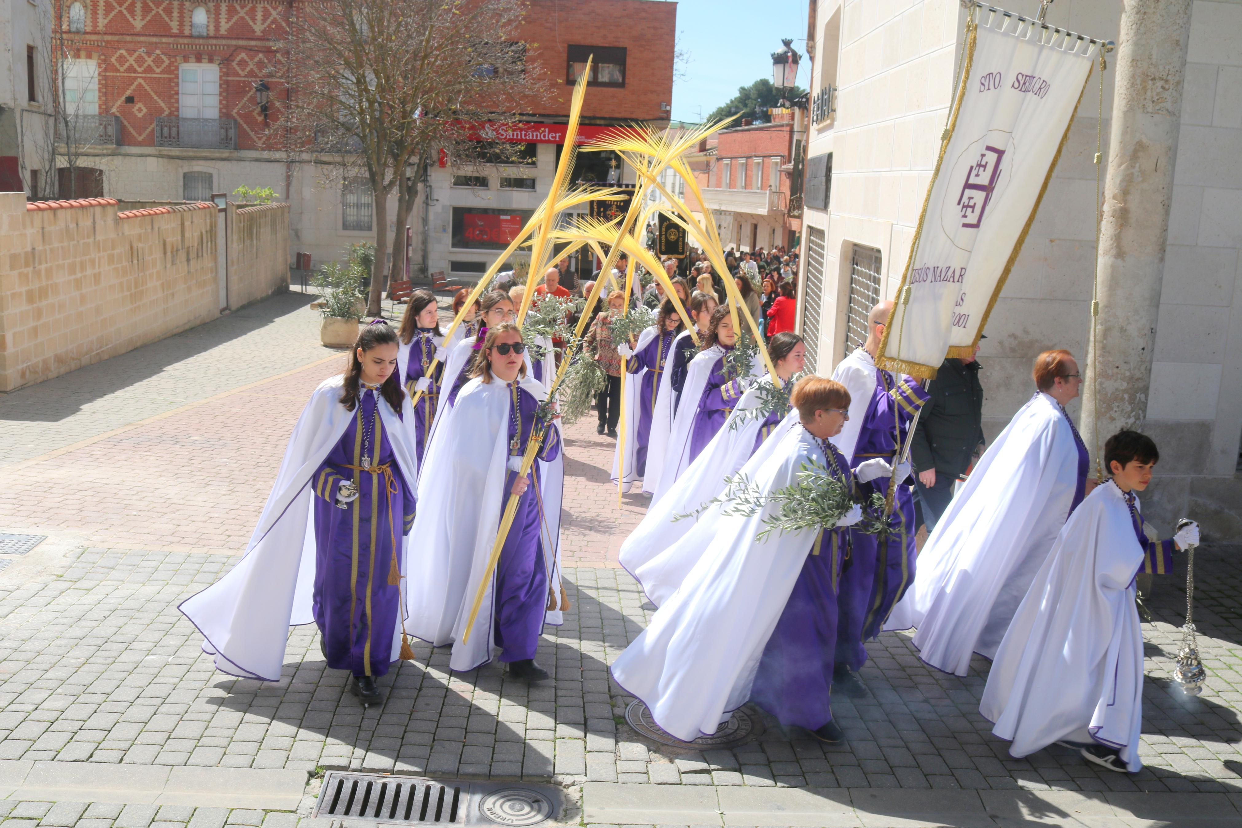 Domingo de Ramos en Baltanás