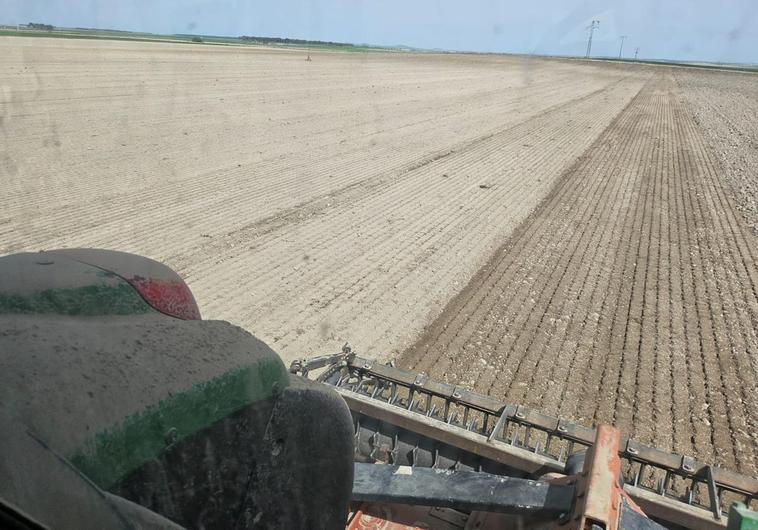 Roberto Rodríguez, agricultor de La Morañana, prepara la tierra durante el fin de semana para adelantarse a las lluvias y sembrar remolacha.