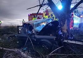 Estado en el que ha quedado el vehículo tras impactar contra un árbol.