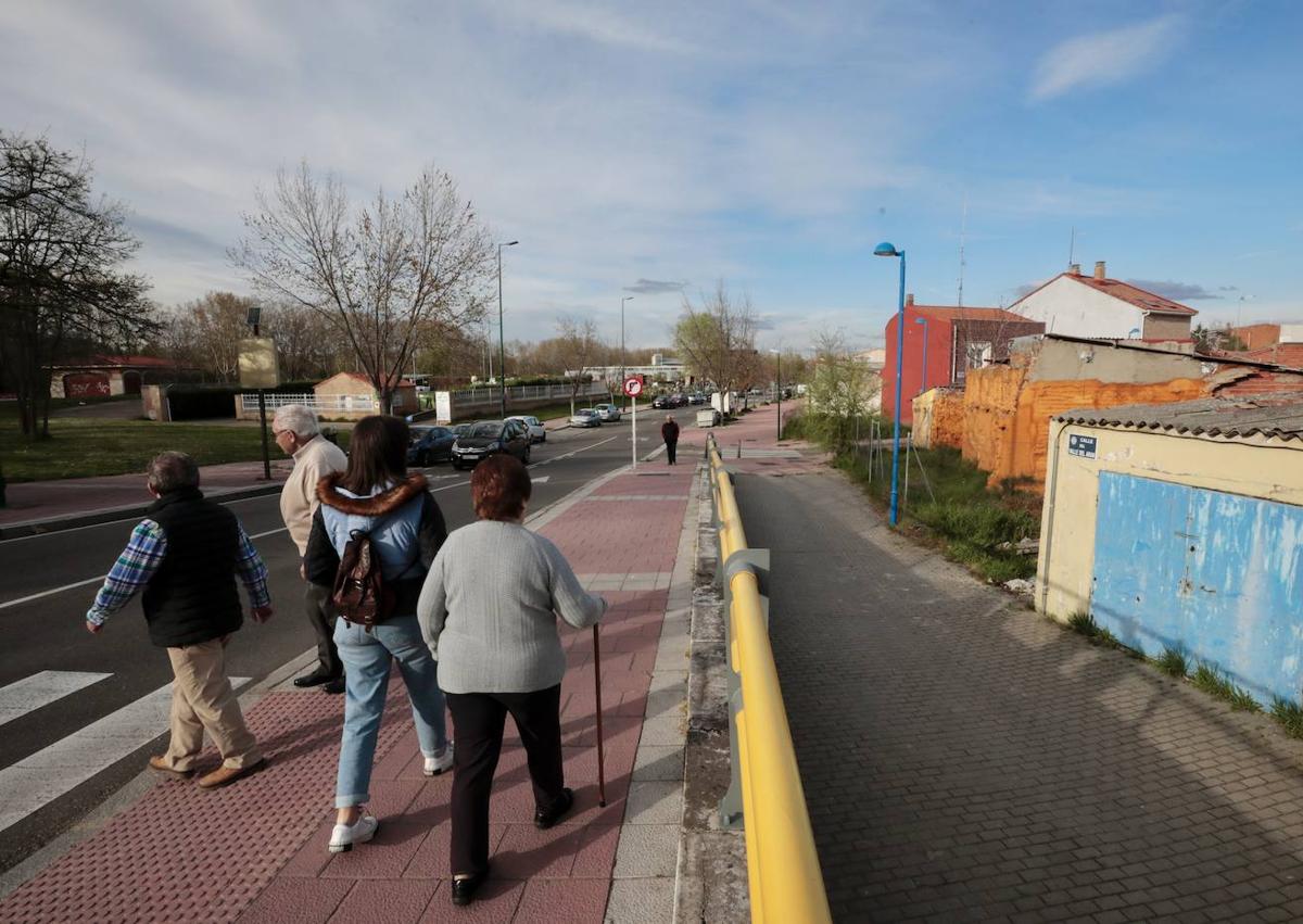 Imagen secundaria 1 - Huertos urbanos, paseo por la calle y entrada al Punto Limplio