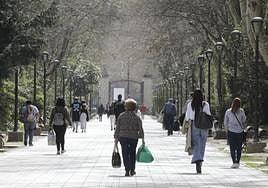 Viandantes por el paseo del Campo Grande.