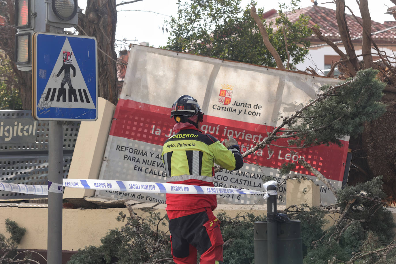 Palencia sufre los efectos del fuerte viento