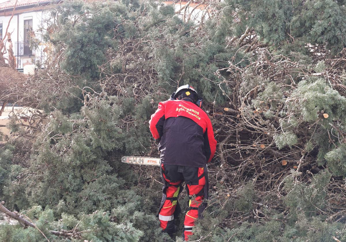 Palencia sufre los efectos del fuerte viento