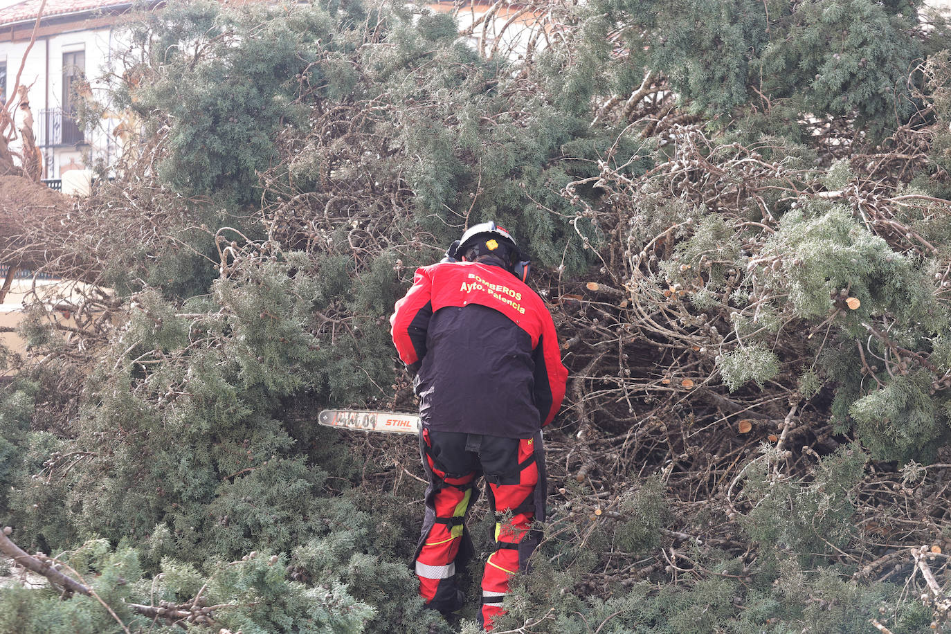 Palencia sufre los efectos del fuerte viento