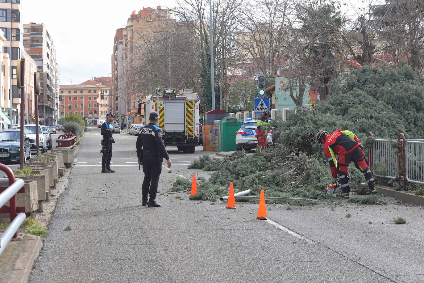 Palencia sufre los efectos del fuerte viento