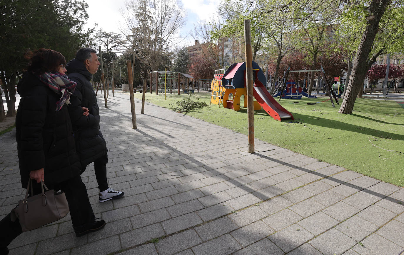 Palencia sufre los efectos del fuerte viento