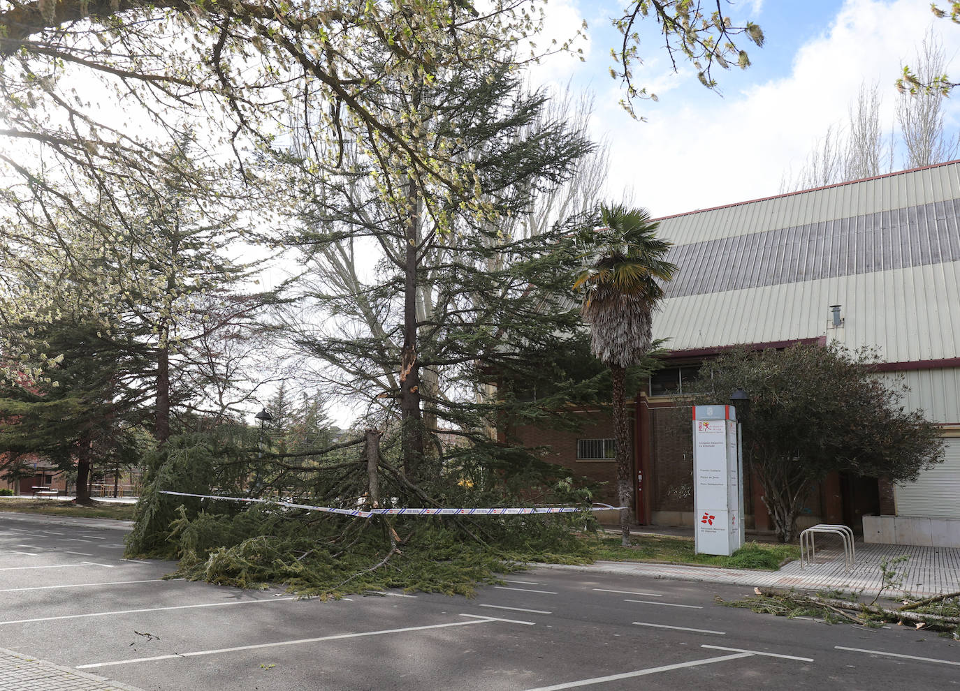 Palencia sufre los efectos del fuerte viento