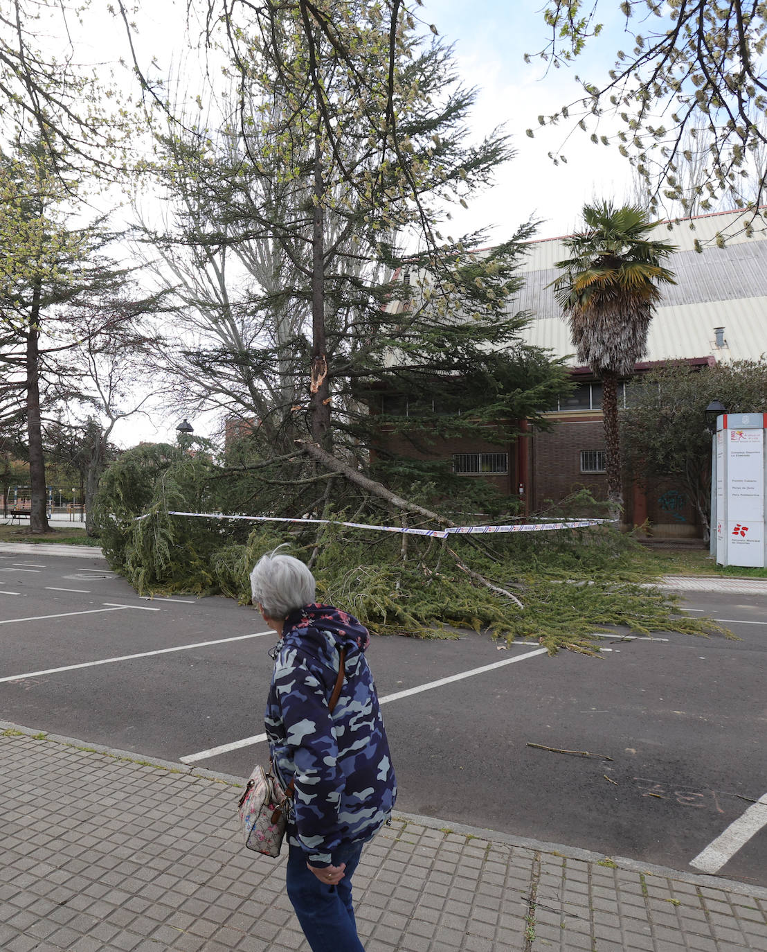 Palencia sufre los efectos del fuerte viento