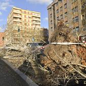 El viento deja un reguero de daños y obliga a los Bomberos a intervenir en 70 incidentes