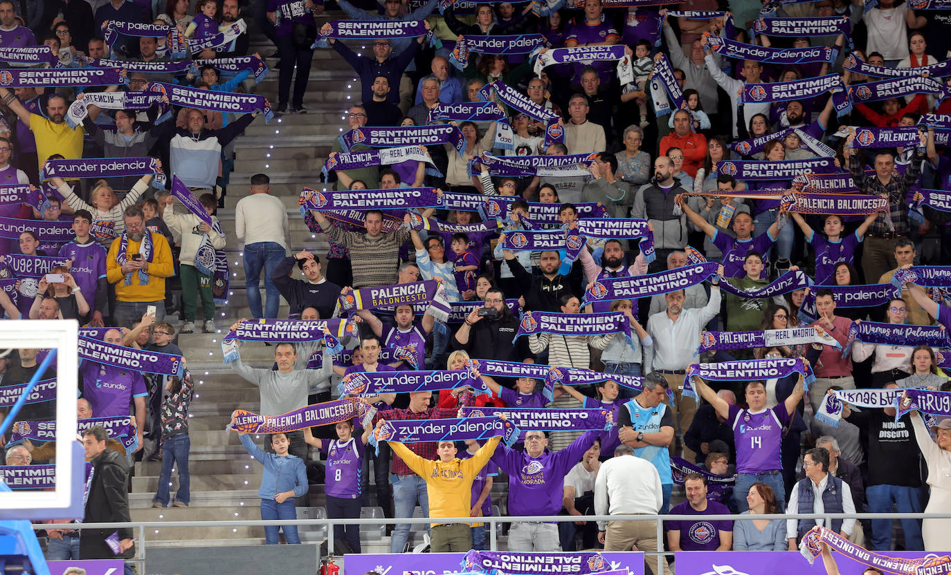 Zunder Palencia-Lenovo Tenerife: Búscate en la grada