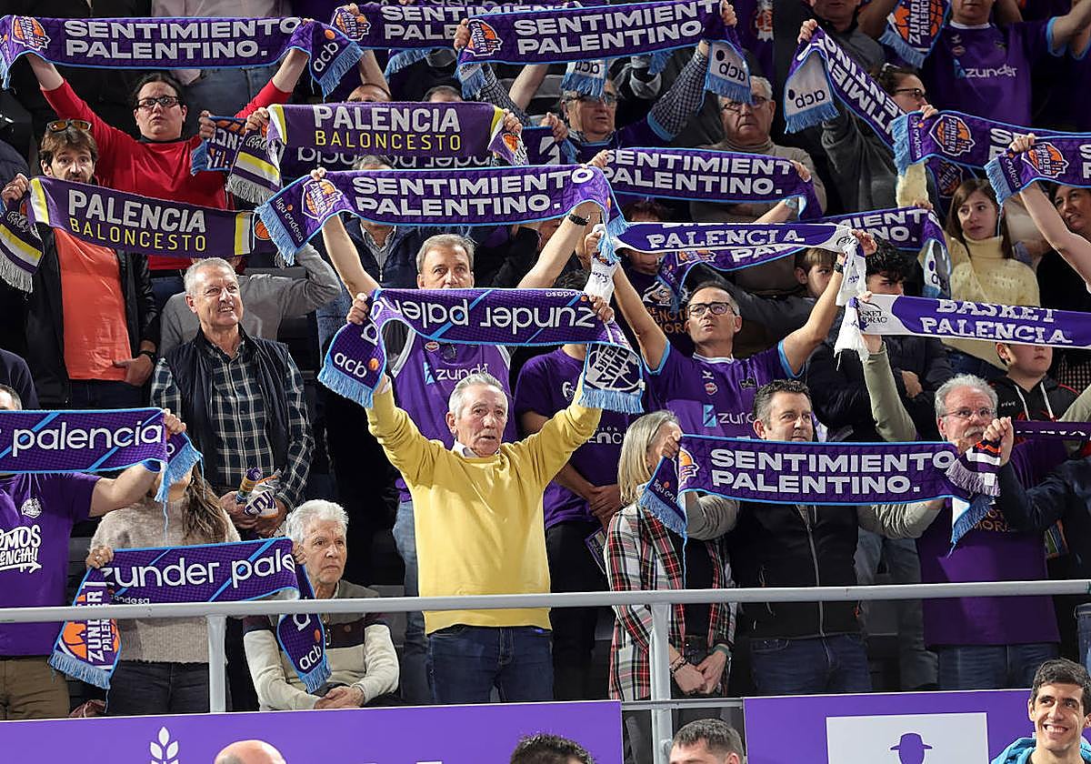 Zunder Palencia-Lenovo Tenerife: Búscate en la grada