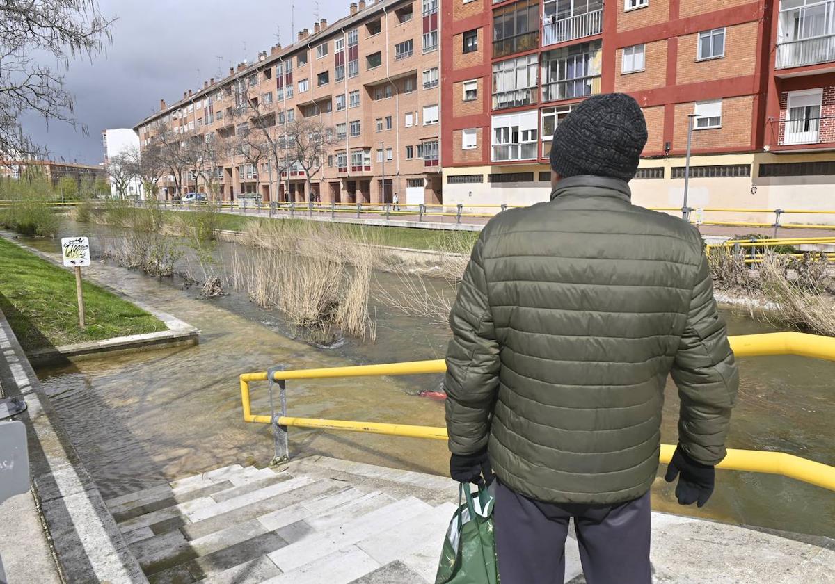 Estado del Esgueva entre Pajarillos y Pilarica, donde cubre los paseos inferiores.