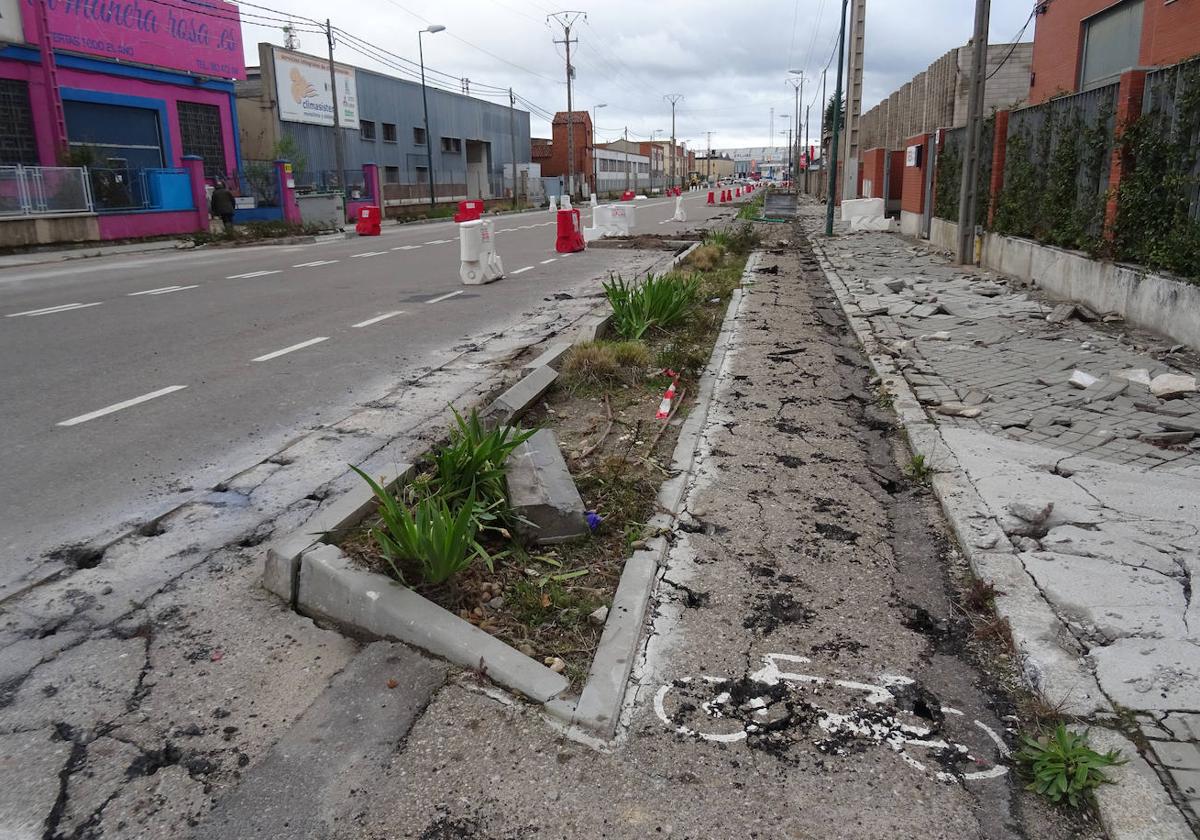 Tramo, ya picado, de la avenida de El Norte de Castilla que se urbanizó hace dos años en el marco del proyecto Indnatur de renaturalización del polígono de Argales.