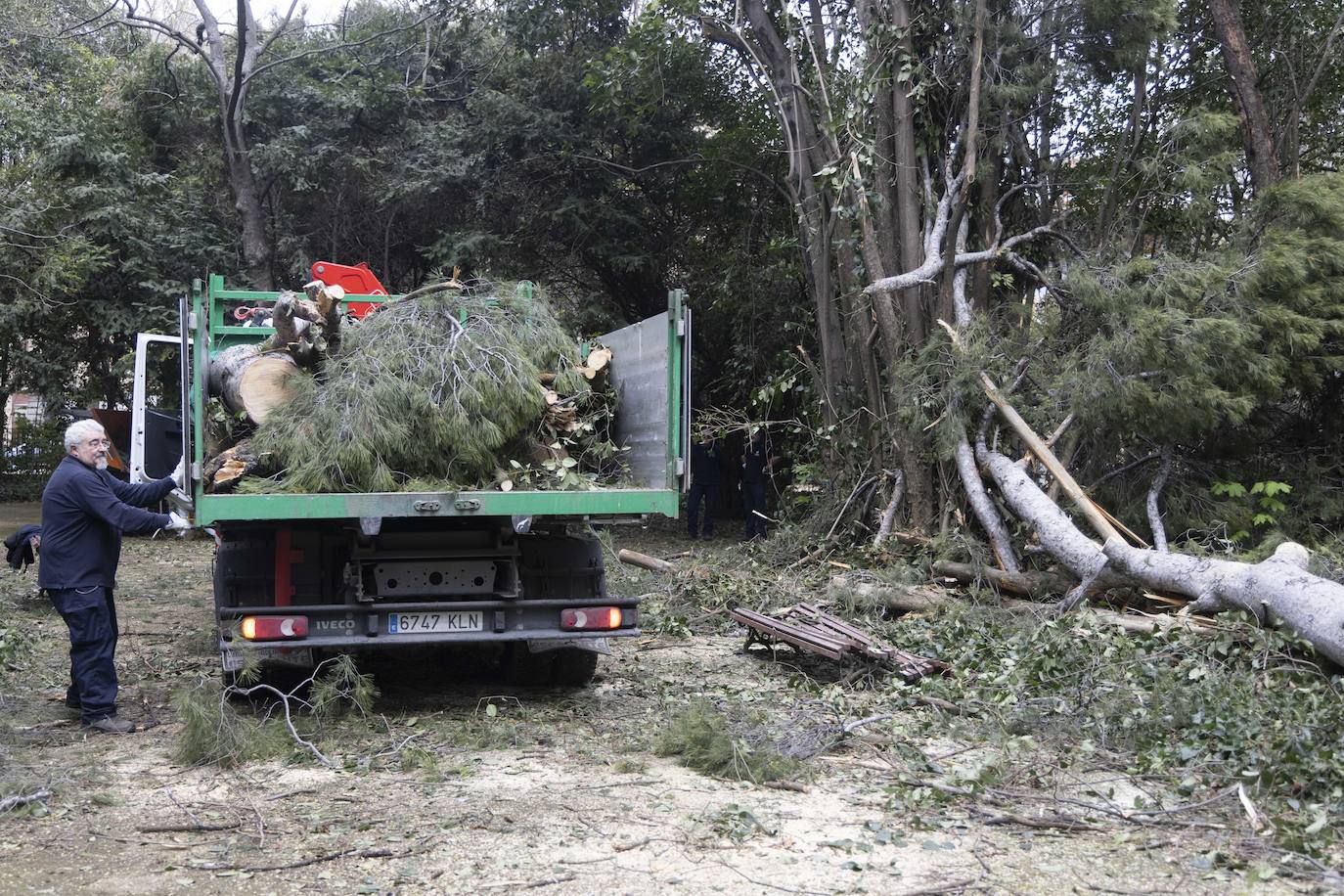 Las imágenes de la retirada de los árboles derribados por el viento en Campo Grande