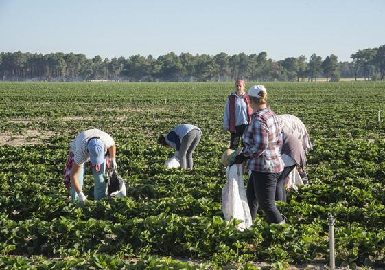 Varias personas realizan trabajos en la provincia de Segovia.