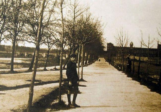 Paseo de la Condesa Sagasta.