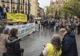 Concentración por la sanidad pública, universal y gratuita en la Plaza Mayor de Segovia.