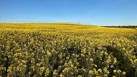 Agricultura inicia el trámite para ampliar hasta mayo la solicitud de la PAC