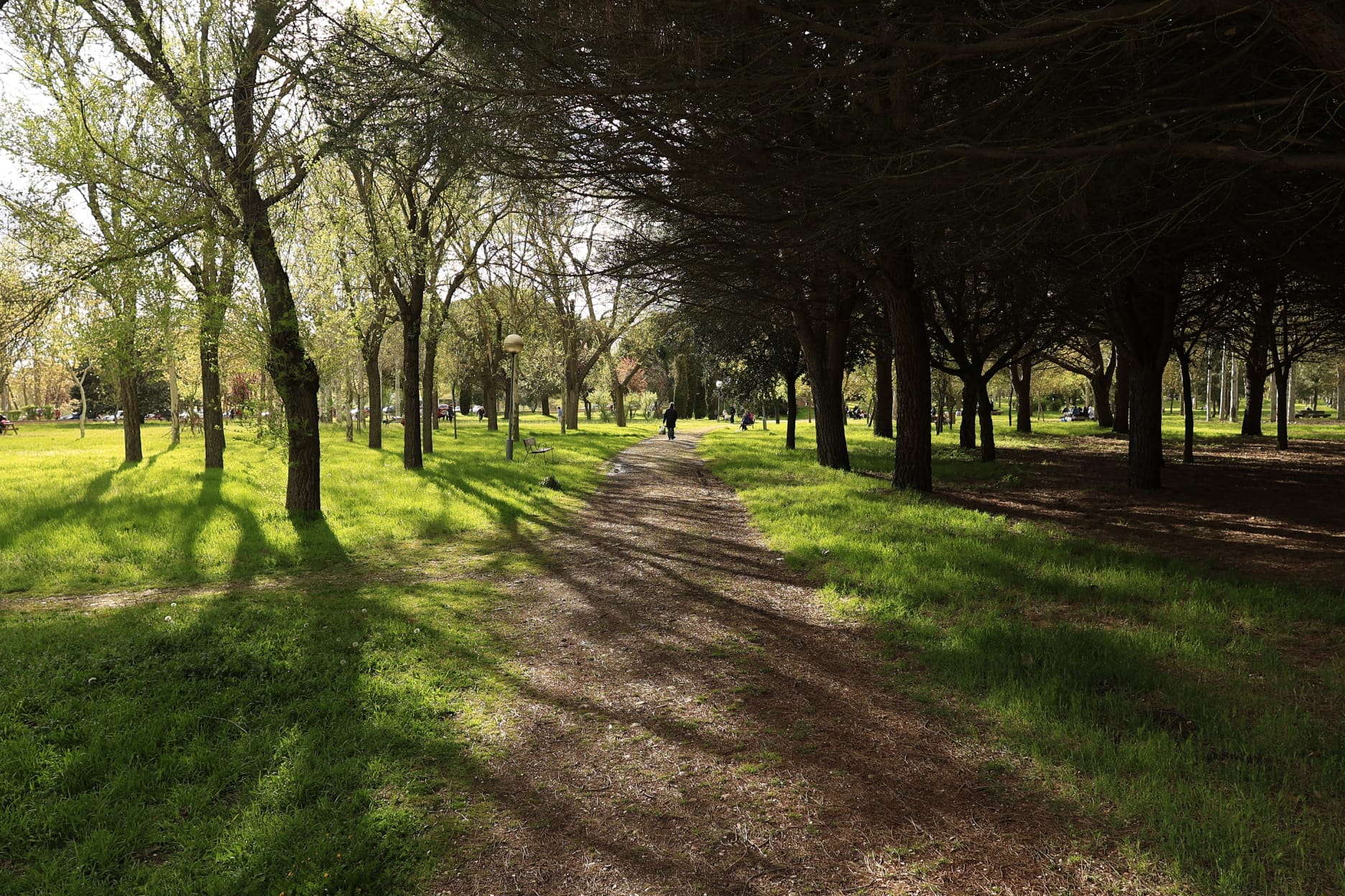 Lunes de Aguas en Salamanca