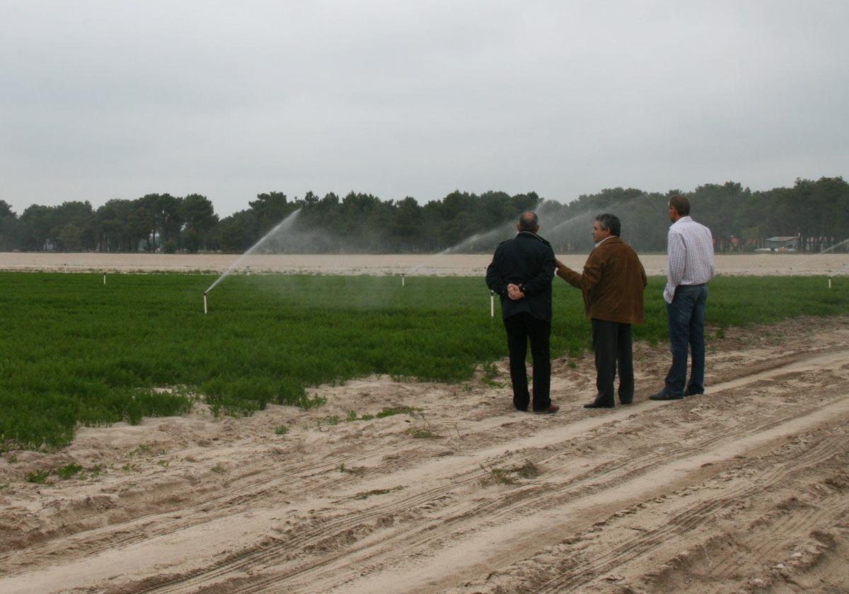 Varias personas observan las labores de riego en una plantación del Carracillo.