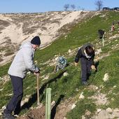 El Ayuntamiento de Cuéllar planea cuatro zonas temáticas en Las Lomas