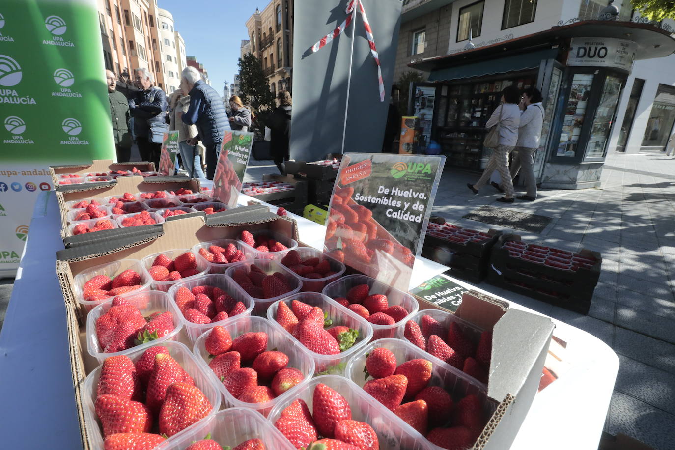 Colas en el reparto de tarrinas con fresas en Valladolid