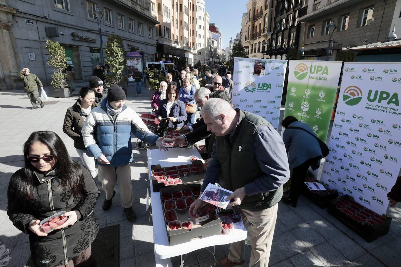 Colas en el reparto de tarrinas con fresas en Valladolid