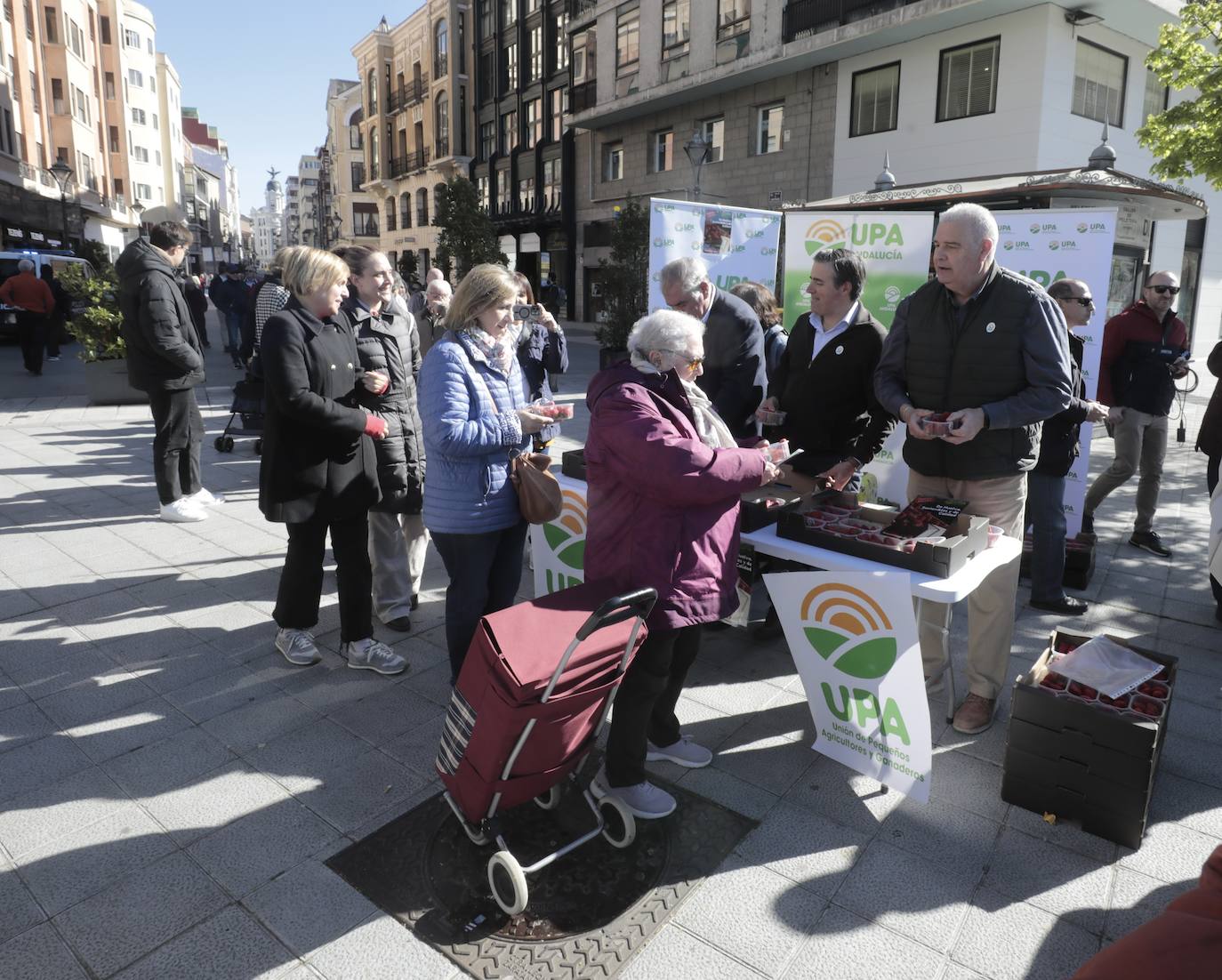 Colas en el reparto de tarrinas con fresas en Valladolid