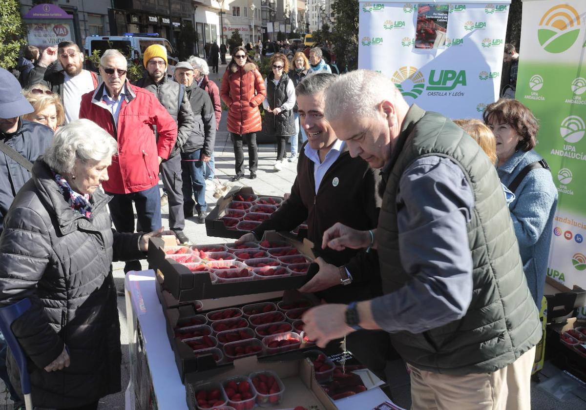 Colas en el reparto de tarrinas con fresas en Valladolid