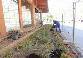 Jardín que se ha plantado junto a la cafetería del parque del Salón.