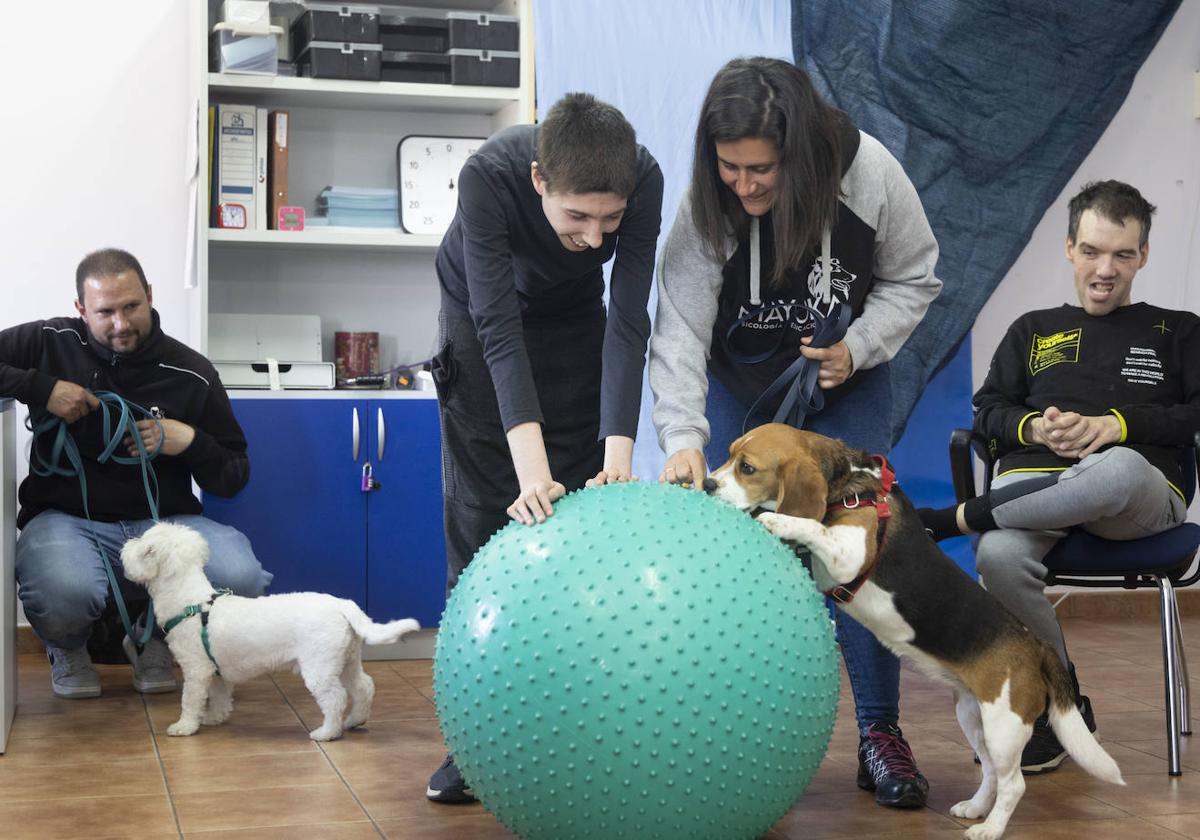 Loti y Matías, los perros que «hacen magia» con personas con autismo en Valladolid