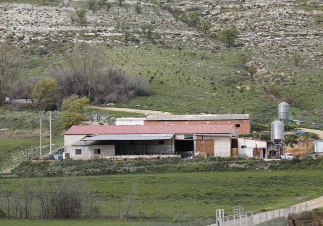 Granja en la que se ejercía la explotación laboral en Castrillo de Duero.