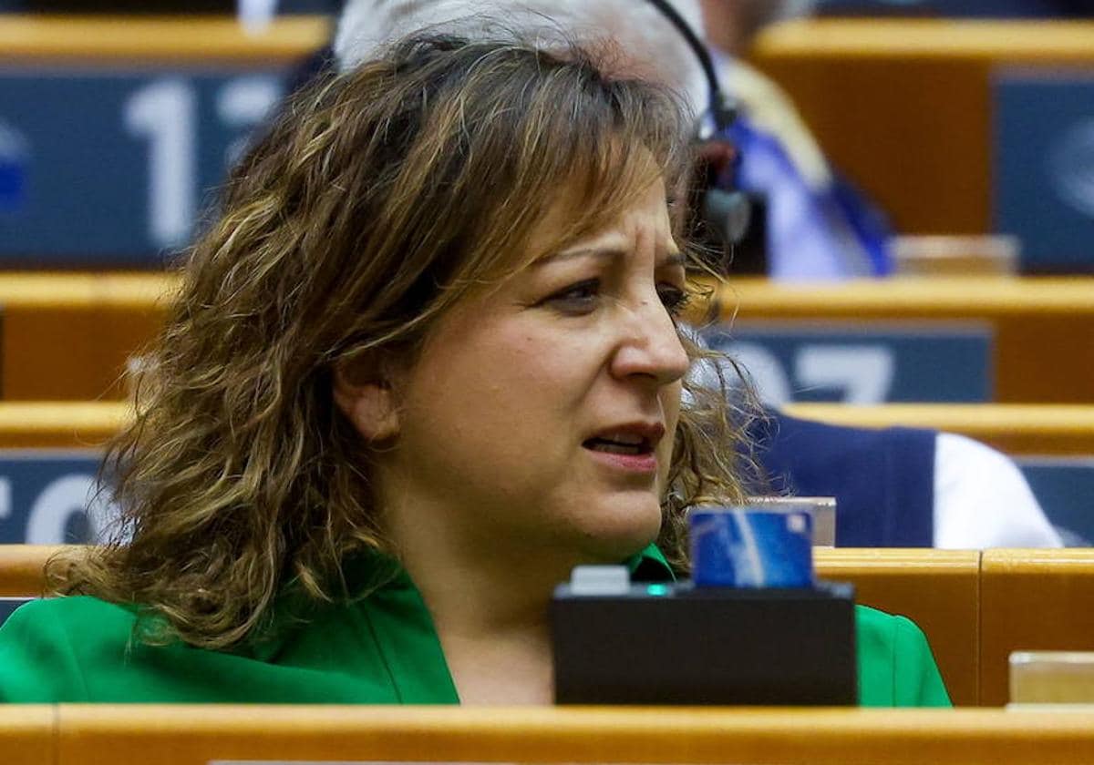 La eurodiputada Iratxe García denuncia pintadas de «puta» y «golfa» cerca  de su casa | El Norte de Castilla