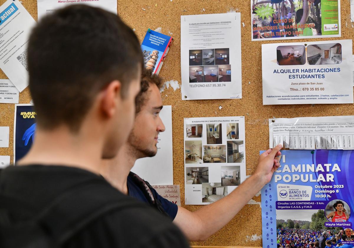 Dos jóvenes miran un panel donde se anuncian alquileres para estudiantes en Valladolid.