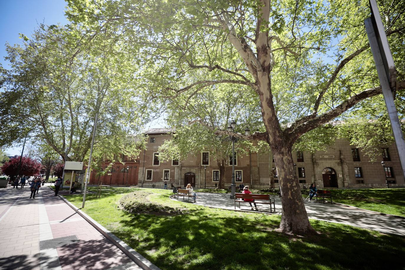 Un recorrido en imágenes por la calle Real de Burgos